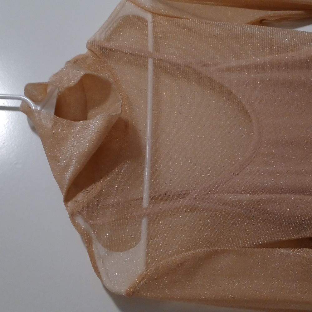 Sparkly sheer top with undershirt